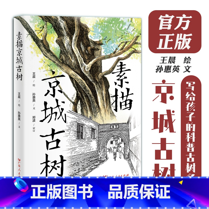 [正版]素描京城古树 王晨绘孙惠英文地域京味儿文化科普古树名木知识延伸北京园林生态广东人民出版社高清大图