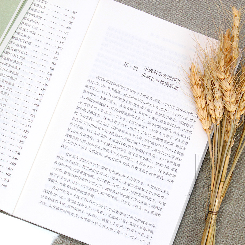 [醉染正版]中国古典文学全套5册官场现形记书籍正版原著 老残游记 儒林外史原版 孽海花 二十年目睹之怪现状 高中青少高清大图