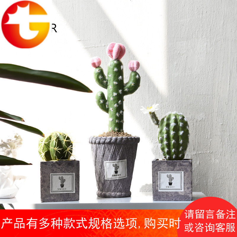 创意北欧风氧气水泥盆仿真植物多肉仙人掌桌面装饰盆栽仙人球盆景