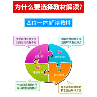 【正版2019秋】教材解读语文四年级上册人教版 小学4年级上统编课本同步讲解练习预习资料书 人民教育出版社