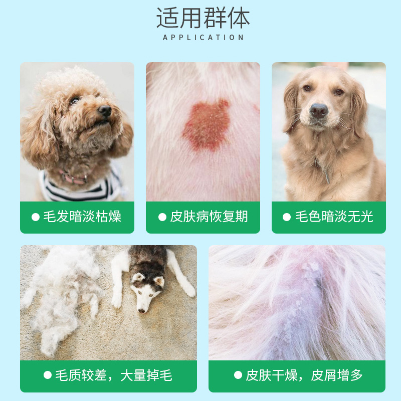 积雪美毛丸宠物比熊卵磷脂狗狗爆毛粉边牧亮毛美毛软磷脂高清大图