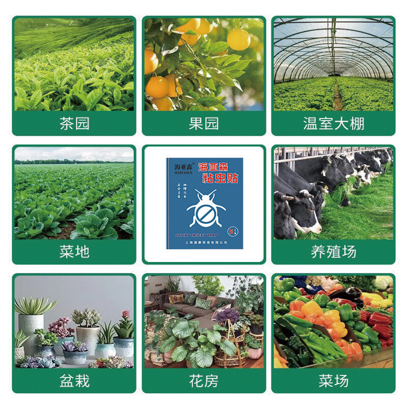 海亚森M1C156粘虫贴5片/套(计价单位:套)高清大图
