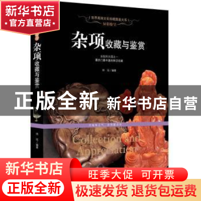 正版 异彩纷呈:杂项收藏与鉴赏 玮珏 新世界出版社 9787510452000