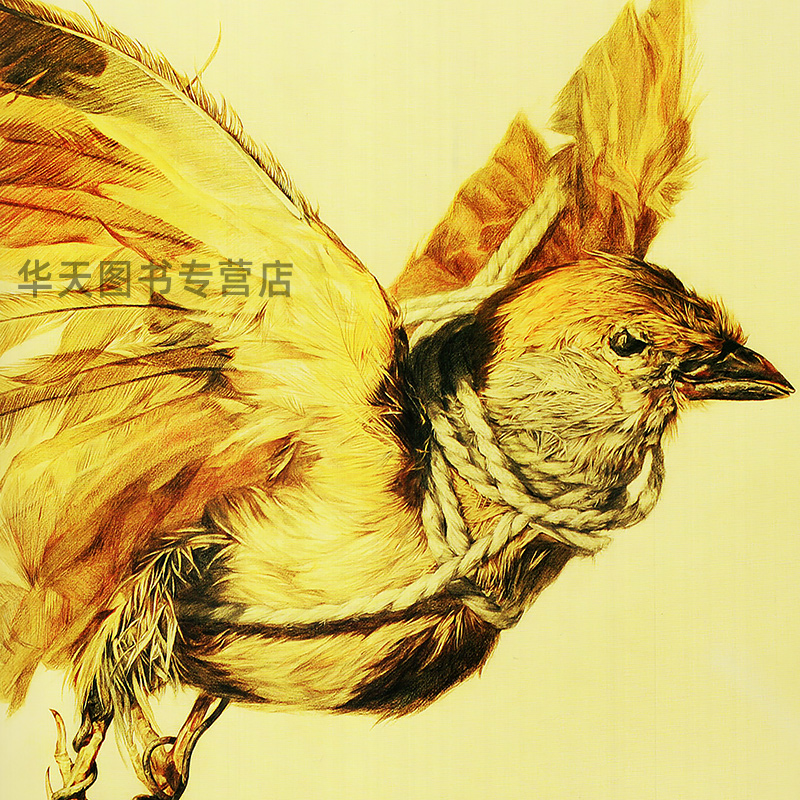 [正版图书]精微素描教学 中央美术学院城市设计学院课程教学与艺术创作相结合素描基础教学书籍油画水彩超写实素描书 人民美术高清大图
