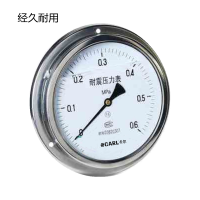 [卡尔]防震压力表 YB100 100MPA