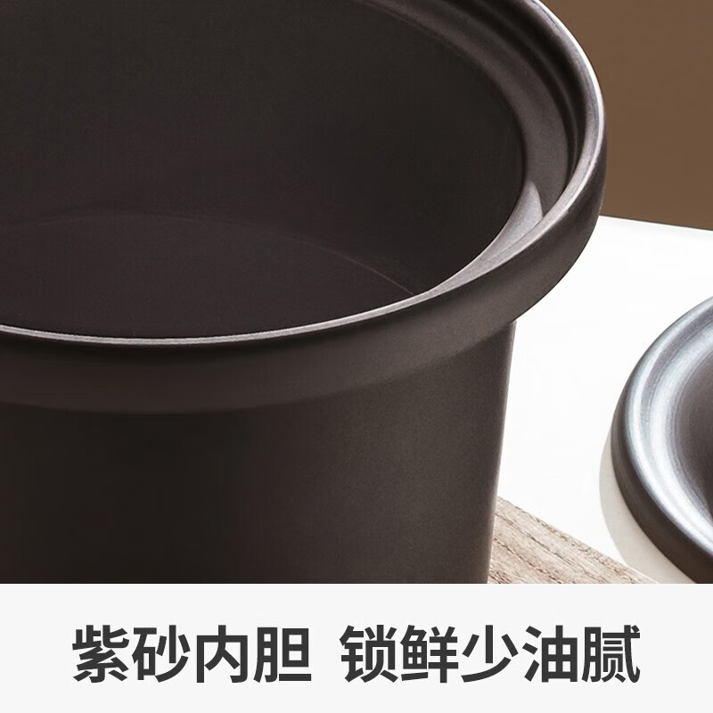 九阳(Joyoung)电炖锅5L大容量电炖锅炖汤锅煲汤锅燕窝炖锅煮粥锅可预约24小时保温 DG50K-GD505