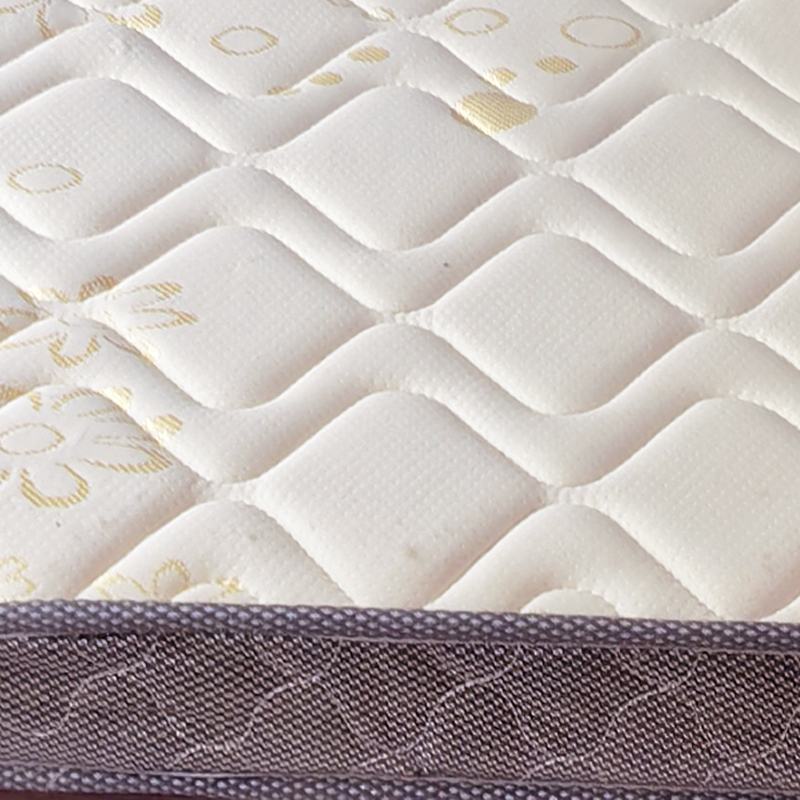 广亿隆宿舍公寓棕垫床垫高清大图