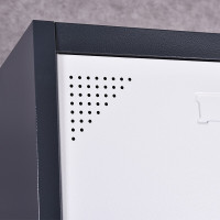 三圣 办公家具套色储物柜铁皮挂衣柜钢制柜子单列单门更衣柜办公柜380*450*1800mm