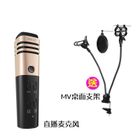 飞利浦 (PHILIPS) DLK38001直播版手机全民k歌有线电容麦克风话筒唱吧直播主播 香槟金