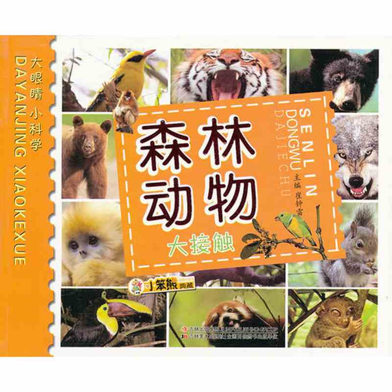 正版新书]小笨熊·大眼睛小科学:森林动物大接触 [3-6岁]崔钟雷9高清大图