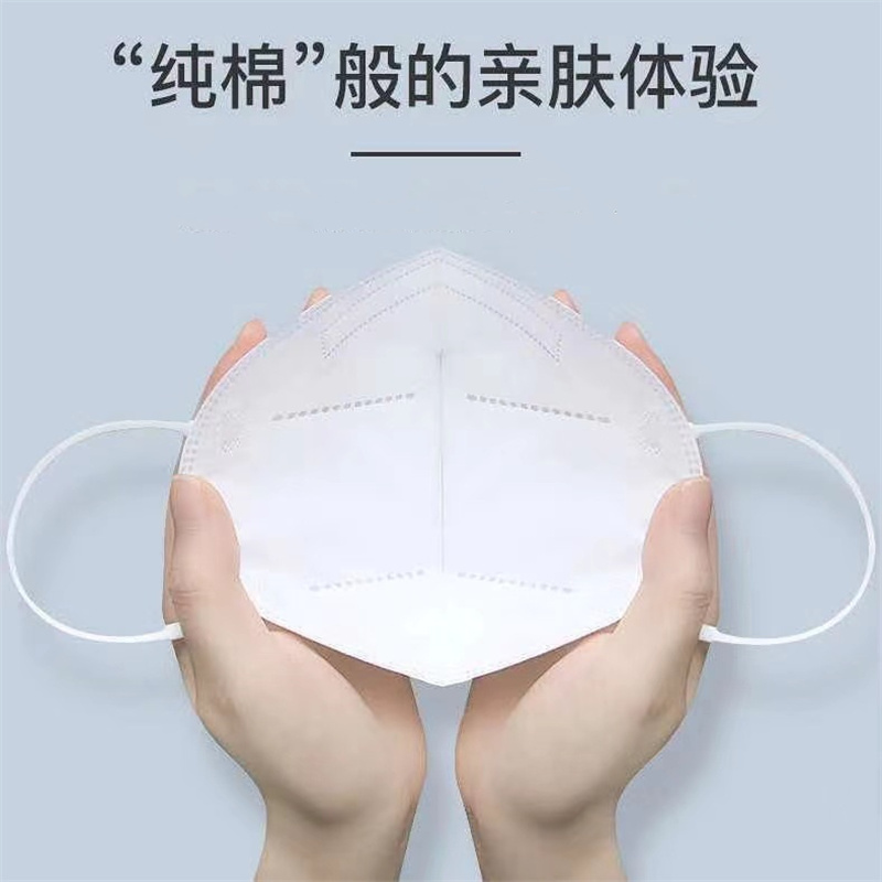N95口罩 10个/组