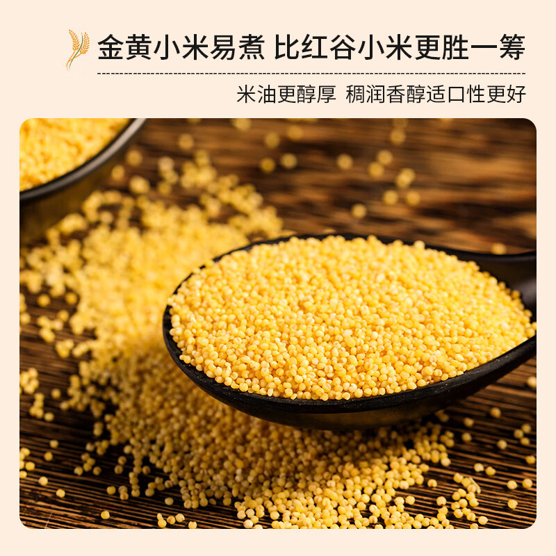 裕道府金苗黄小米月子米小米粥杂粮真空装粥米伴侣 500g*1高清大图
