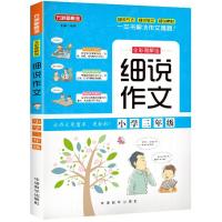 细说作文 徐林 主编 著 文教 文轩网