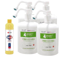 [顺丰,4瓶装*500ml/瓶] 银皇后次氯酸免洗手消毒液+仁和84消毒液480ml/瓶