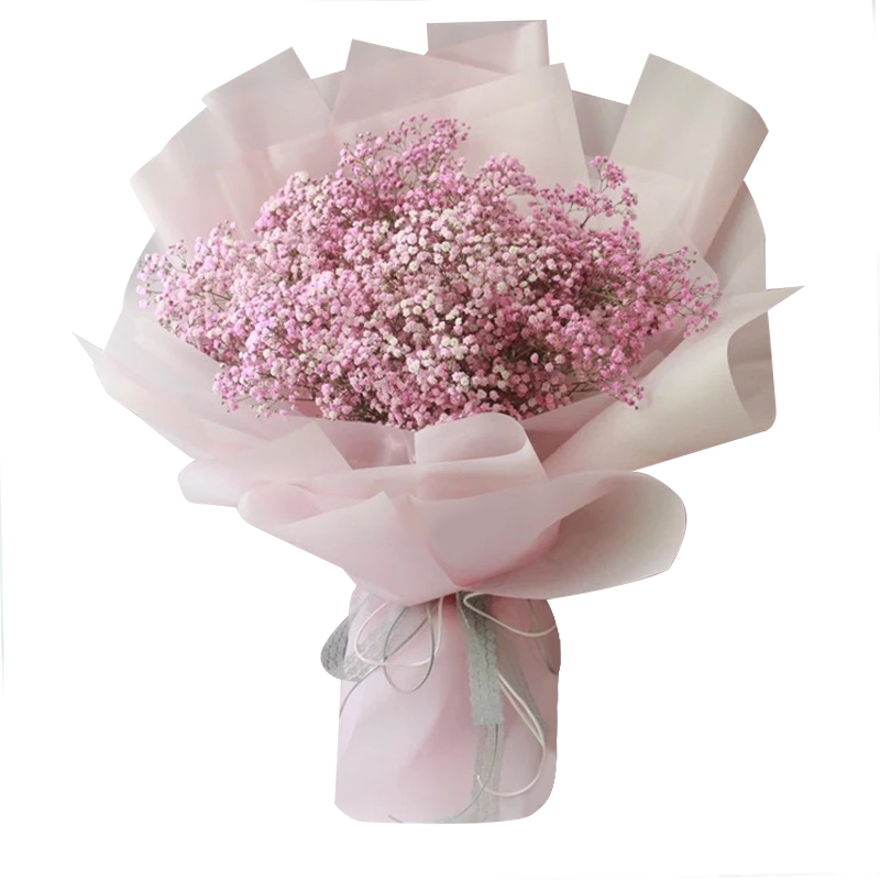 闺蜜 亲人 北京上海贵州哈尔滨全国花店送花【爱满怀】粉色满天星花束