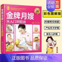 [正版]金牌月嫂从入门到精通 彩色图解版 就业金手指系列 孕产妇饮食护理参考书 新生儿保健护理指导用书 孕妇食谱营养餐新