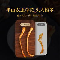 半山农 虫草花 孢子头 蛹虫草 金虫草 300克/袋 菌菇干货炖汤煲汤