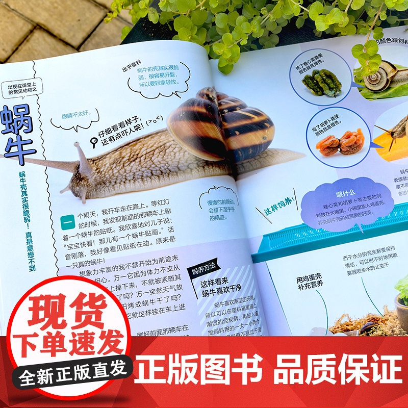 你没想过的小动物系列 怎么饲养它们 小学生的小动物宝典 小学生动物知识图文科普读物 儿童动物知识兴趣启蒙亲子阅读图文科普高清大图