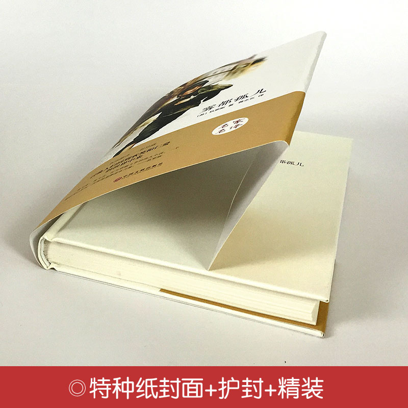 [正版]雾都孤儿 精装硬壳文学国学名著 小学生五六年级课外阅读书籍 全集狄更斯原著 青少版励志小说 世界名著高清大图