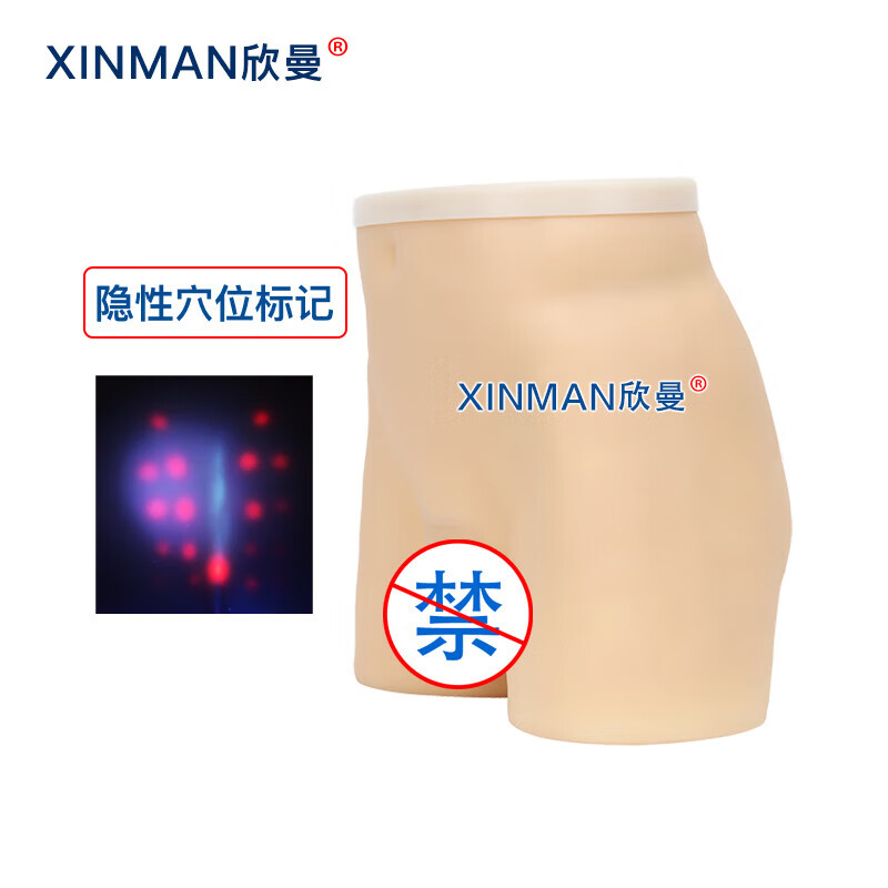 欣曼科教 针灸臀部训练模型 臀部针灸针刺扎针练习模型XM-ZC02高清大图
