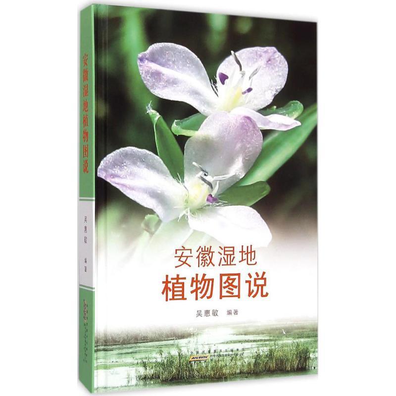 安徽湿地植物图说 吴惠敏 编著 著作 专业科技 文轩网