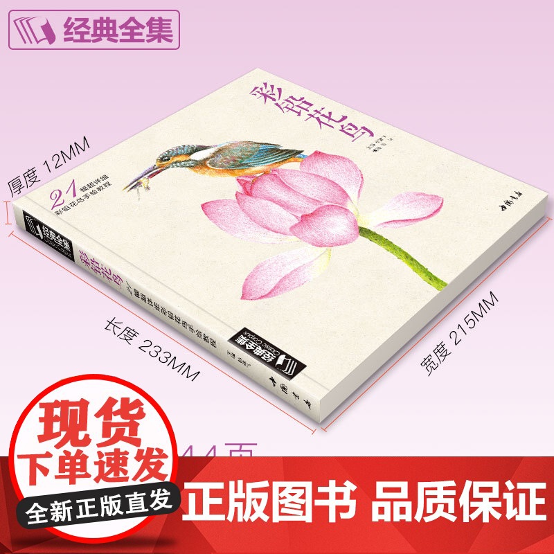 彩铅花鸟高清大图