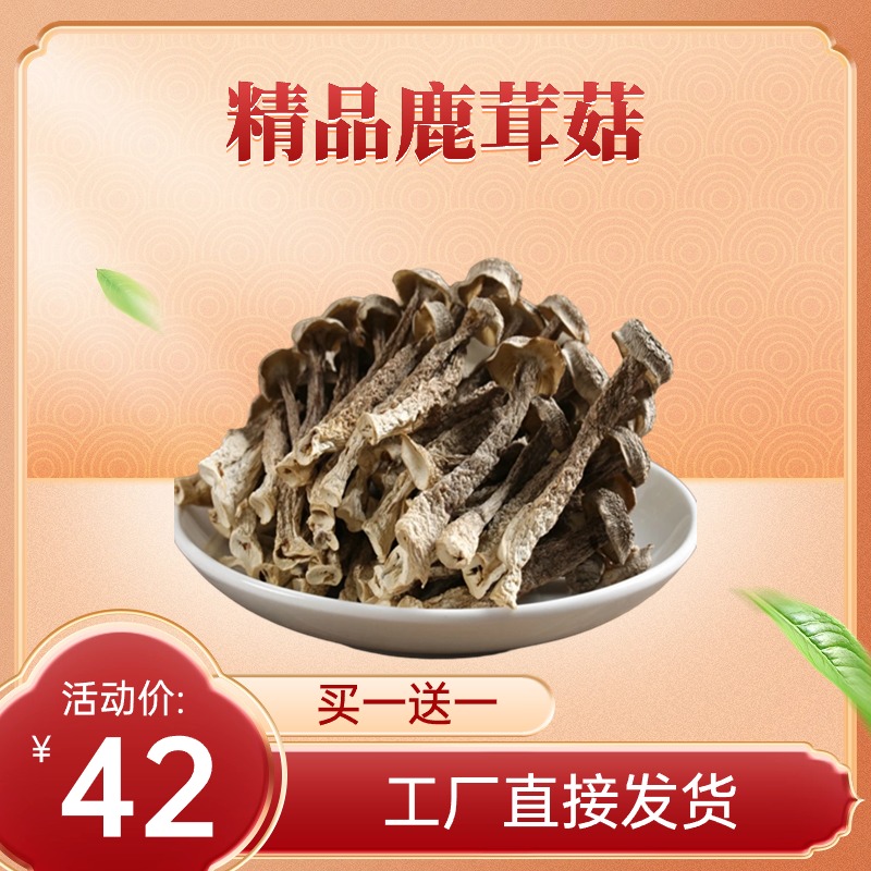 罗中福 精选鹿茸菇 送礼佳品高清大图