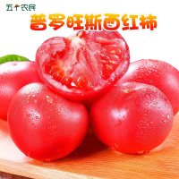 [五个农民]普罗旺斯西红柿 番茄5斤大果沙瓤番茄新鲜生吃蔬菜