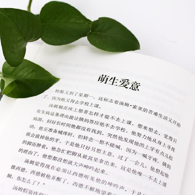 正版新书]汤姆.索亚历险记(名家名译) [The Adventures of To高清大图
