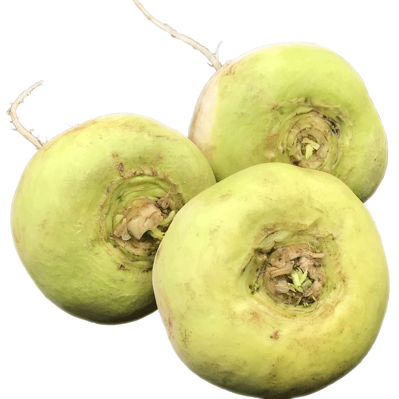 恰玛古新鲜新疆特产25kg强碱食物柯坪县恰麻姑蔬菜空运