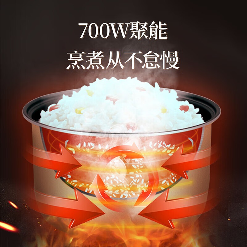 志高(CHIGO)电饭煲 FBD40-P/4L高清大图