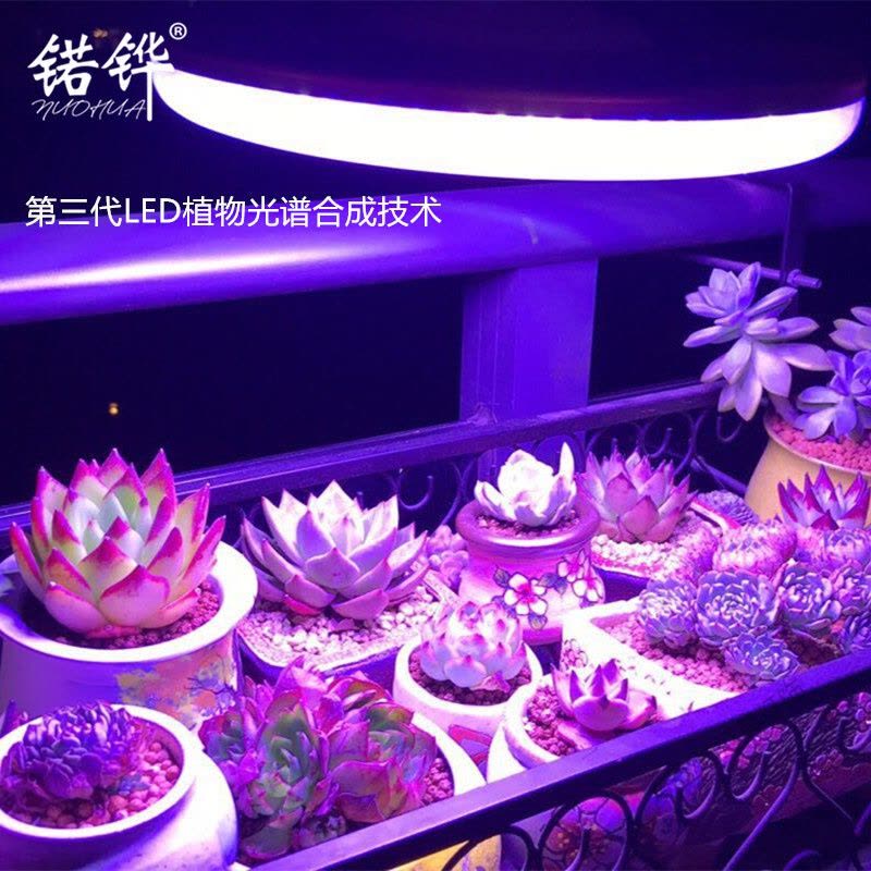 苏宁放心购 多肉植物紫外线生长灯室内日照防徒上色花卉全光谱led多肉补光灯图片