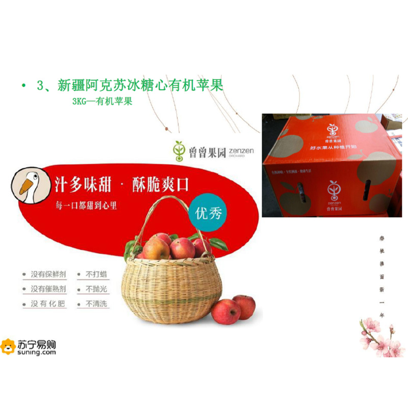 2020新春福利套装-300B