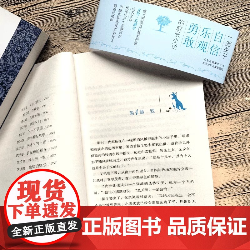 我能跳过水洼正版 艾伦马绍尔著8-12岁儿童成长励志小说摆渡船当代世界儿童文学金奖小学生课外阅读书籍五六年级上册必读课外高清大图