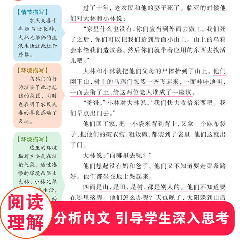 [正版]大林和小林 书 张天翼著儿童文学名家经典书系名师指导经典书目三四年级五六年级小学生课外阅读必读书籍北京教育出版