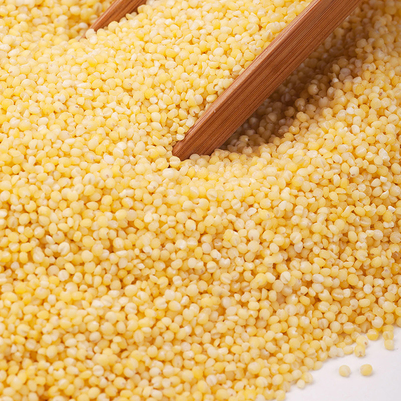 金龙鱼超级爱谷物东北小米/1kg 黄小米粥粗粮早餐高清大图