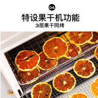 风炉烤箱家用小型烘焙商用法耐(FANAI)多功能发酵果干机搪瓷迷你电烤箱 蓝色