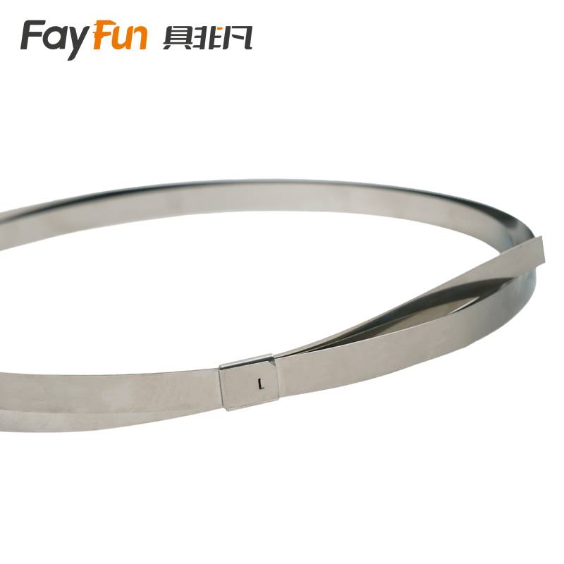 具非凡 不锈钢扎带 12*1500mm 包高清大图