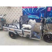 飞鸽 电动车 成人电动自行车 电瓶车