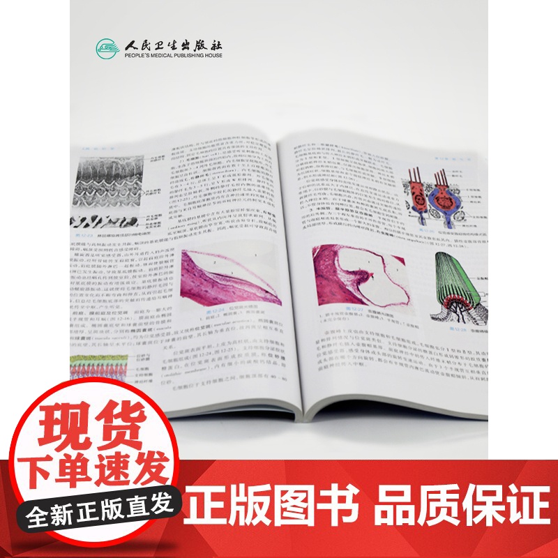 组织学与胚胎学第9九版人卫本科西医临床第九轮第八版升级药理学生理学病理学内科学系统解剖学大学教材书籍人民卫生出版社考研高清大图
