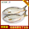 桂之海北部湾野生丁公鱼去鳞去腮去内脏海鱼400g*3袋