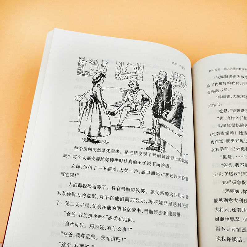 [正版]哈工大 数学我爱你 大数学家的故事赖默尔(Luetta Reimer) 维尔贝特赖默尔 (Wilbert Re