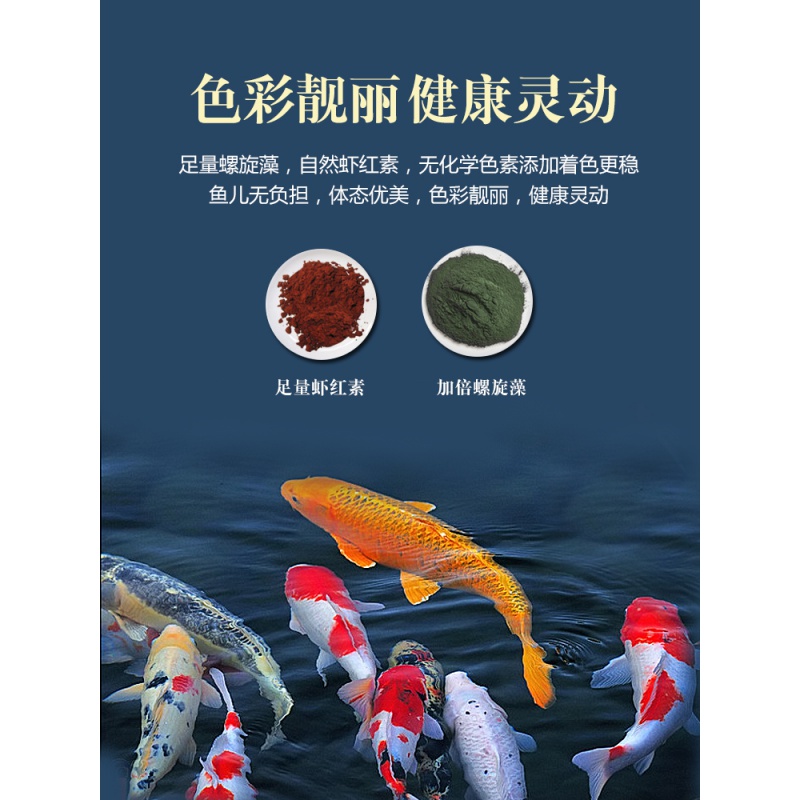 鱼食观赏鱼通用饲料金鱼锦鲤鹦鹉鱼热带鱼金龙鱼家用不浑水鱼粮高清大图