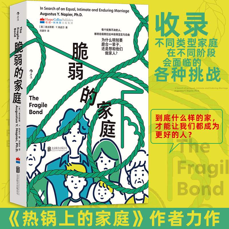 正版新书]脆弱的家庭(美)奥古斯都·Y.纳皮尔(Augustus Y.Napier)高清大图