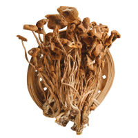 茶树菇干货