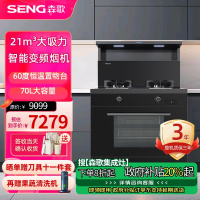 [新品]森歌(SENG)集成灶D8ZK-1蒸烤一体灶变频电机 21立方大吸力抽油烟机燃气灶家用厨房灶具[液化气左排烟]