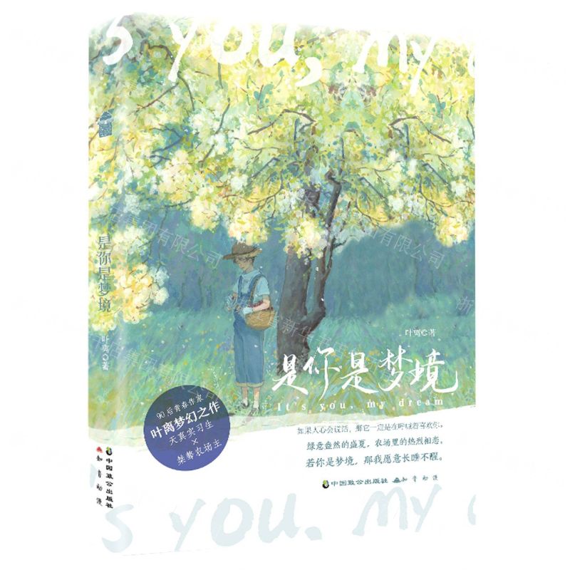 【N】是你是梦境-9787514517873