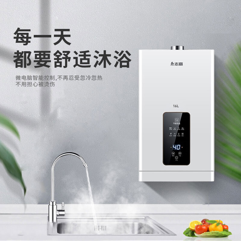 志高 CHIGO燃气热水器 零冷水 16升 家用液化气加热 恒温降噪 强排式多点供水JSQ31-L2