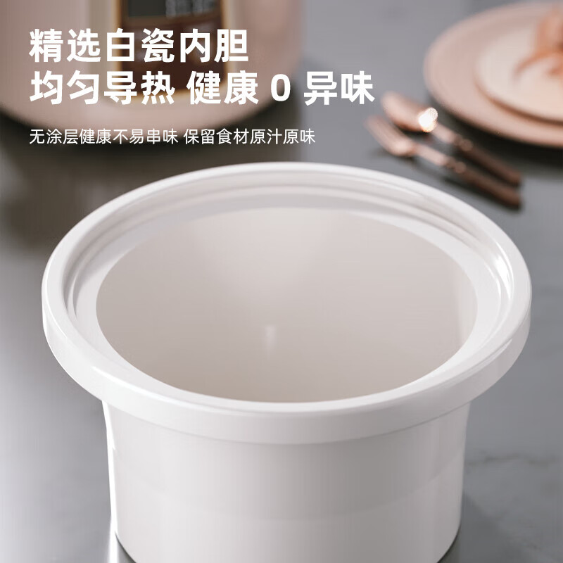 龙的(longde) LD-DG3926 电炖锅 3L 煲汤家用电炖盅 2~3人高清大图