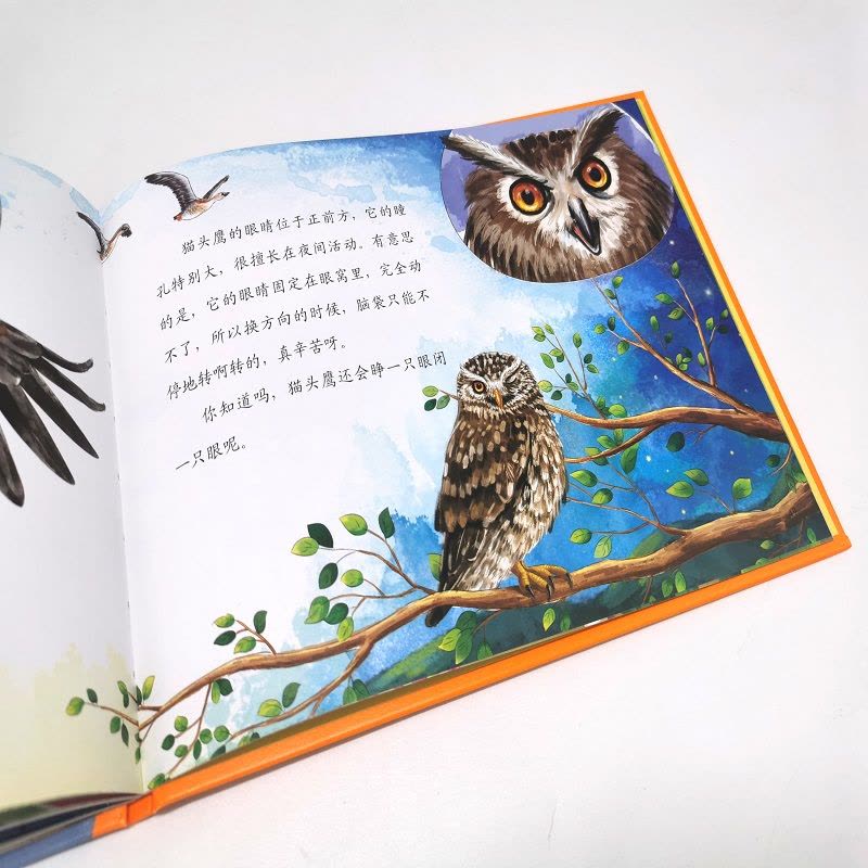 [正版]眼睛宝宝亮晶晶 近视眼预防书籍 让宝宝学会保护视力 了解到眼睛的重要性 儿童青少年近视防治 视力矫正 眼镜健康图片